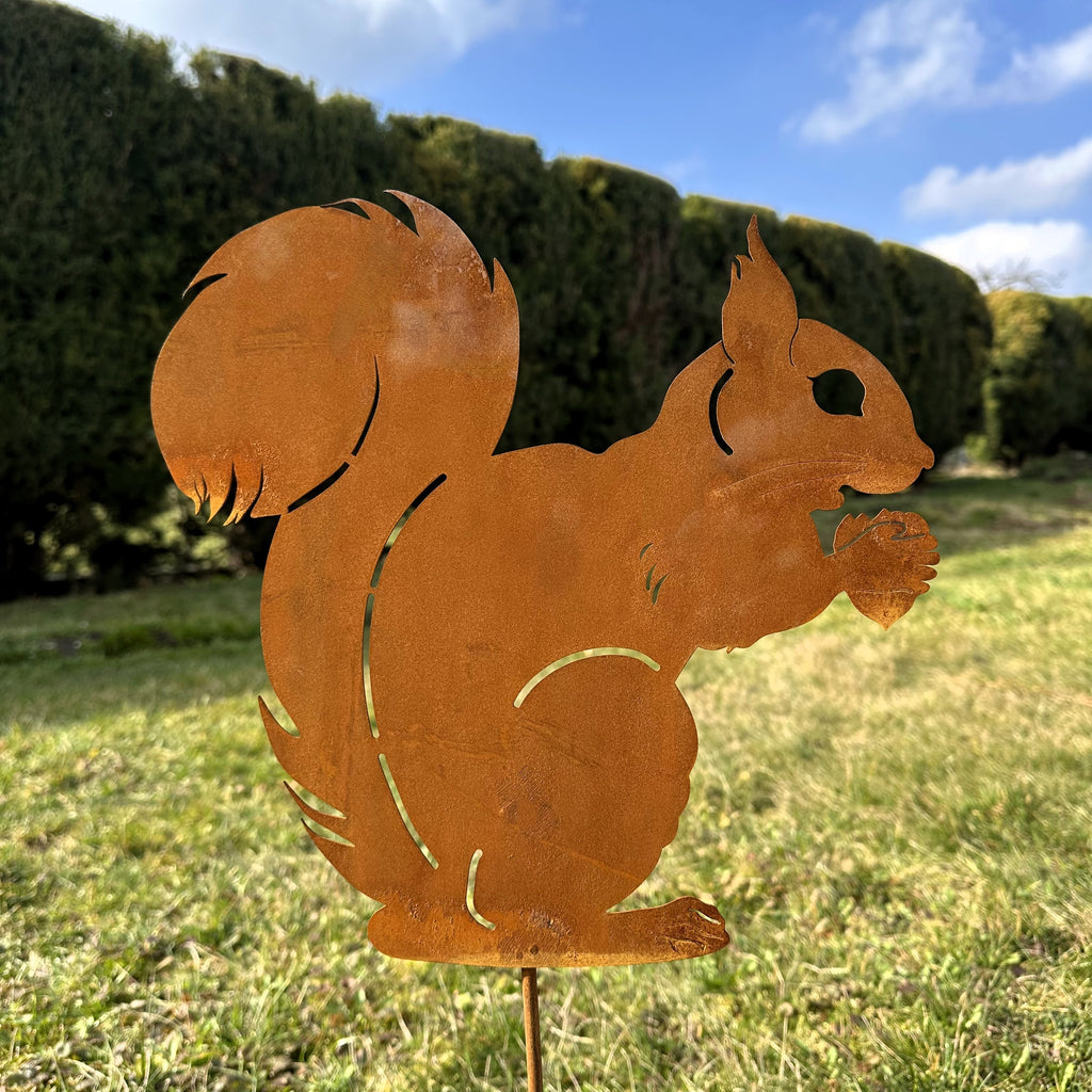 Eichhörnchen „mit Nuss”