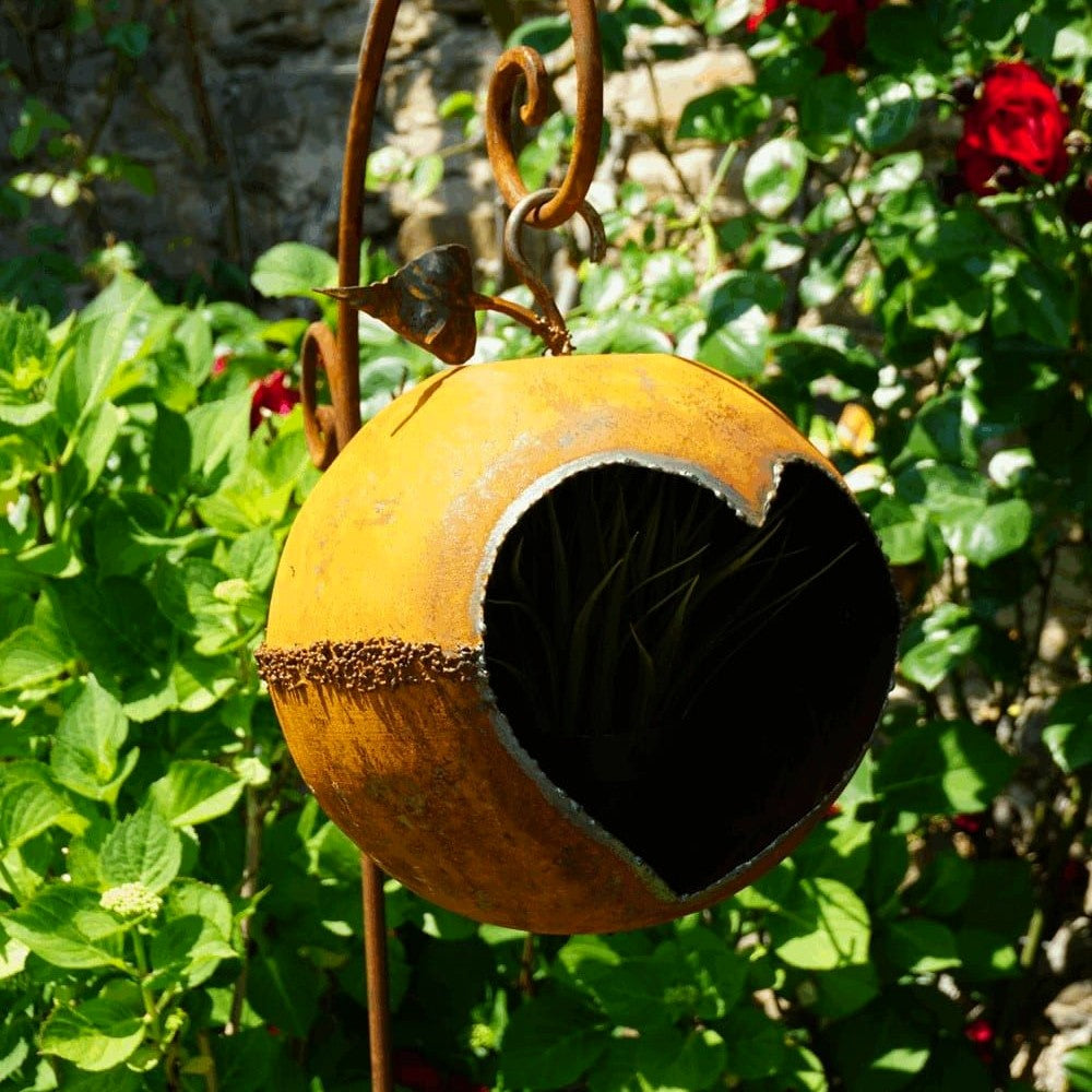 Apfel „Größte”