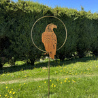 Adler „im Kreis”